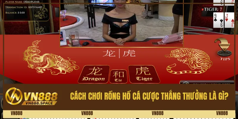 Cách chơi Rồng Hổ cá cược thắng thưởng là gì? 