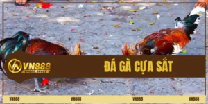 đá gà cựa sắt