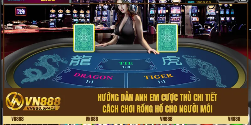 Hướng dẫn anh em cược thủ chi tiết cách chơi Rồng Hổ cho người mới