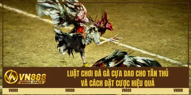 Luật chơi đá gà cựa dao cho tân thủ và cách đặt cược hiệu quả