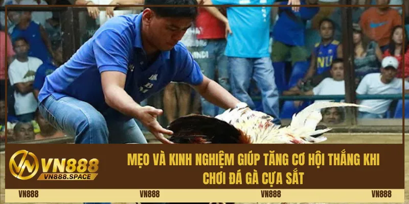 Mẹo và kinh nghiệm giúp tăng cơ hội thắng khi chơi đá gà cựa sắt