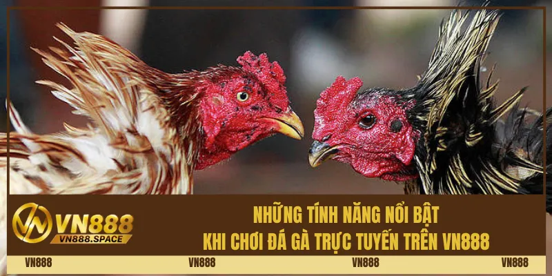 Những Tính Năng Nổi Bật Khi Chơi Đá Gà Trực Tuyến Trên Vn888
