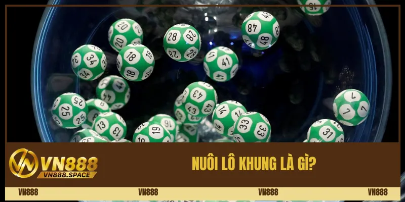 Nuôi lô khung là gì? 