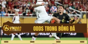 odds trong bóng đá