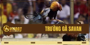 Trường Gà Savan